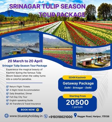 Kashmir Tulip Festival Tour Package